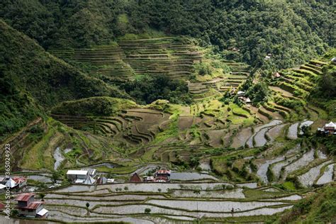 Category:Banaue Rice Terraces .